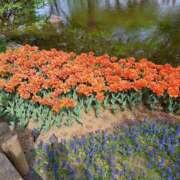 ヒメ日記 2025/04/21 13:21 投稿 ほまれ 熟女の風俗最終章 町田店