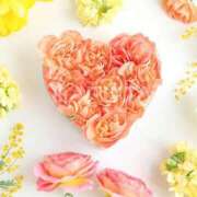 ヒメ日記 2025/05/01 08:00 投稿 ほまれ 熟女の風俗最終章 町田店