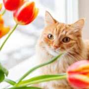 ヒメ日記 2025/05/02 15:01 投稿 ほまれ 熟女の風俗最終章 町田店