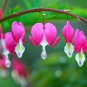 ヒメ日記 2025/06/05 13:56 投稿 ほまれ 熟女の風俗最終章 町田店