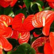 ヒメ日記 2025/06/07 15:50 投稿 ほまれ 熟女の風俗最終章 町田店