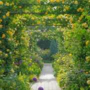 ヒメ日記 2025/06/10 13:30 投稿 ほまれ 熟女の風俗最終章 町田店