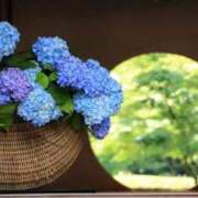 ヒメ日記 2025/06/26 08:50 投稿 ほまれ 熟女の風俗最終章 町田店