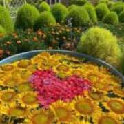 ヒメ日記 2025/07/13 18:50 投稿 ほまれ 熟女の風俗最終章 町田店