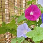 ヒメ日記 2025/07/17 08:50 投稿 ほまれ 熟女の風俗最終章 町田店