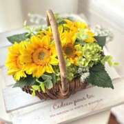 ヒメ日記 2025/09/07 16:31 投稿 ほまれ 熟女の風俗最終章 町田店