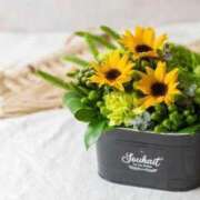 ヒメ日記 2025/09/07 16:50 投稿 ほまれ 熟女の風俗最終章 町田店