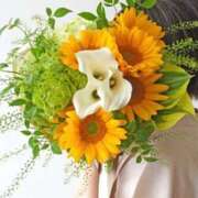 ヒメ日記 2025/09/18 07:37 投稿 ほまれ 熟女の風俗最終章 町田店