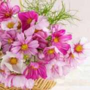 ヒメ日記 2025/09/26 17:31 投稿 ほまれ 熟女の風俗最終章 町田店