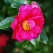 ヒメ日記 2025/11/08 13:57 投稿 ほまれ 熟女の風俗最終章 町田店