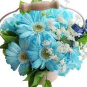 ヒメ日記 2025/11/14 07:20 投稿 ほまれ 熟女の風俗最終章 町田店