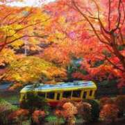 ヒメ日記 2025/11/21 12:00 投稿 ほまれ 熟女の風俗最終章 町田店