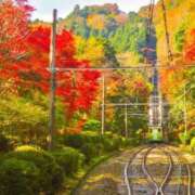 ヒメ日記 2025/11/27 16:00 投稿 ほまれ 熟女の風俗最終章 町田店