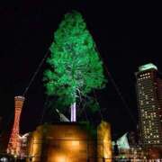 ヒメ日記 2025/12/20 14:50 投稿 ほまれ 熟女の風俗最終章 町田店