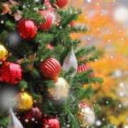 ヒメ日記 2025/12/24 15:50 投稿 ほまれ 熟女の風俗最終章 町田店