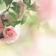 ヒメ日記 2026/01/23 06:50 投稿 ほまれ 熟女の風俗最終章 町田店