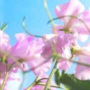 ヒメ日記 2026/02/01 02:50 投稿 ほまれ 熟女の風俗最終章 町田店