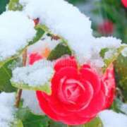 ヒメ日記 2026/02/08 12:28 投稿 ほまれ 熟女の風俗最終章 町田店