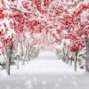 ヒメ日記 2026/02/08 12:38 投稿 ほまれ 熟女の風俗最終章 町田店