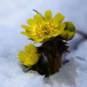 ヒメ日記 2026/02/08 13:50 投稿 ほまれ 熟女の風俗最終章 町田店