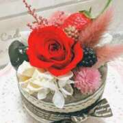 ヒメ日記 2026/02/19 08:47 投稿 ほまれ 熟女の風俗最終章 町田店