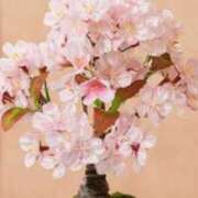 ヒメ日記 2026/02/26 15:20 投稿 ほまれ 熟女の風俗最終章 町田店