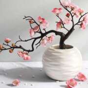 ほまれ 2/24御礼 熟女の風俗最終章 町田店