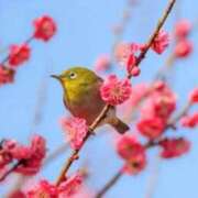 ヒメ日記 2026/03/12 16:20 投稿 ほまれ 熟女の風俗最終章 町田店