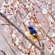 ヒメ日記 2026/03/12 16:28 投稿 ほまれ 熟女の風俗最終章 町田店