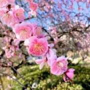 ヒメ日記 2026/03/13 12:37 投稿 ほまれ 熟女の風俗最終章 町田店