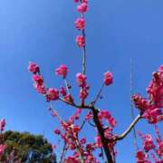 ヒメ日記 2026/03/13 12:50 投稿 ほまれ 熟女の風俗最終章 町田店