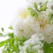 ヒメ日記 2026/03/17 21:50 投稿 ほまれ 熟女の風俗最終章 町田店