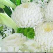 ヒメ日記 2026/03/18 18:30 投稿 ほまれ 熟女の風俗最終章 町田店