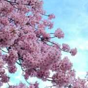 ヒメ日記 2026/03/18 18:53 投稿 ほまれ 熟女の風俗最終章 町田店