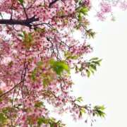 ヒメ日記 2026/03/22 13:32 投稿 ほまれ 熟女の風俗最終章 町田店