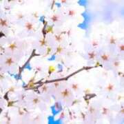 ヒメ日記 2026/04/02 20:34 投稿 ほまれ 熟女の風俗最終章 町田店