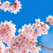 ヒメ日記 2026/04/09 20:50 投稿 ほまれ 熟女の風俗最終章 町田店