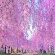 ヒメ日記 2026/04/12 18:38 投稿 ほまれ 熟女の風俗最終章 町田店