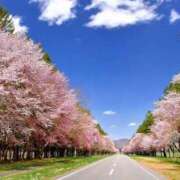 ヒメ日記 2026/04/17 19:50 投稿 ほまれ 熟女の風俗最終章 町田店