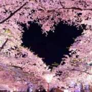 ヒメ日記 2026/04/24 20:35 投稿 ほまれ 熟女の風俗最終章 町田店