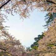 ヒメ日記 2026/04/28 00:40 投稿 ほまれ 熟女の風俗最終章 町田店