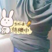 ヒメ日記 2025/11/09 14:12 投稿 セリカ★エロス漂う奥様 BITEKI