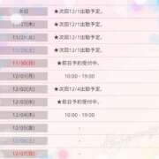 ヒメ日記 2025/11/26 12:02 投稿 セリカ★エロス漂う奥様 BITEKI