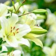 ヒメ日記 2025/12/06 17:36 投稿 セリカ★エロス漂う奥様 BITEKI