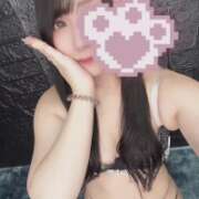 ヒメ日記 2025/04/30 10:30 投稿 いつき 姫コレクション