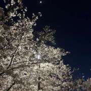 ヒメ日記 2025/04/05 12:04 投稿 あい ファーストレディ(博多)