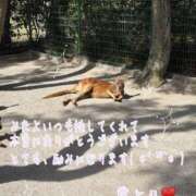 ヒメ日記 2025/04/24 12:03 投稿 あい ファーストレディ(博多)