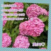 ヒメ日記 2025/06/08 13:42 投稿 あい ファーストレディ(博多)