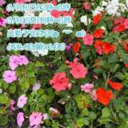 ヒメ日記 2025/06/16 12:03 投稿 あい ファーストレディ(博多)