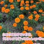 ヒメ日記 2025/06/20 08:42 投稿 あい ファーストレディ(博多)